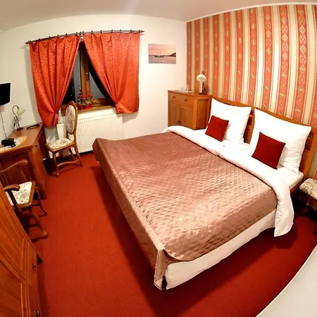 Sant Bernard Stare Hory