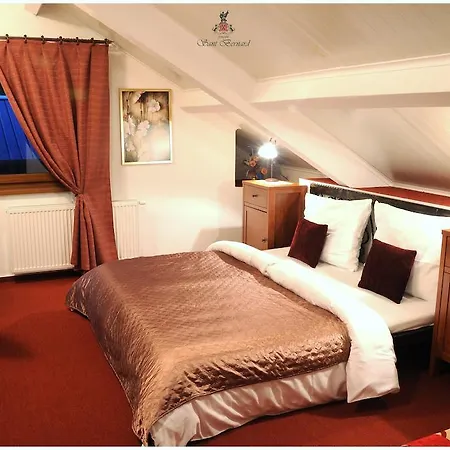 Sant Bernard Stare Hory