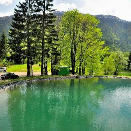 Sant Bernard 3* Stare Hory