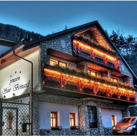 Sant Bernard Stare Hory